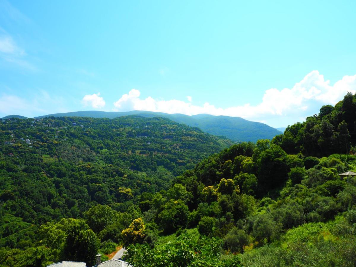 Felitsia Apartments & Studios Agios Ioannis  Kültér fotó
