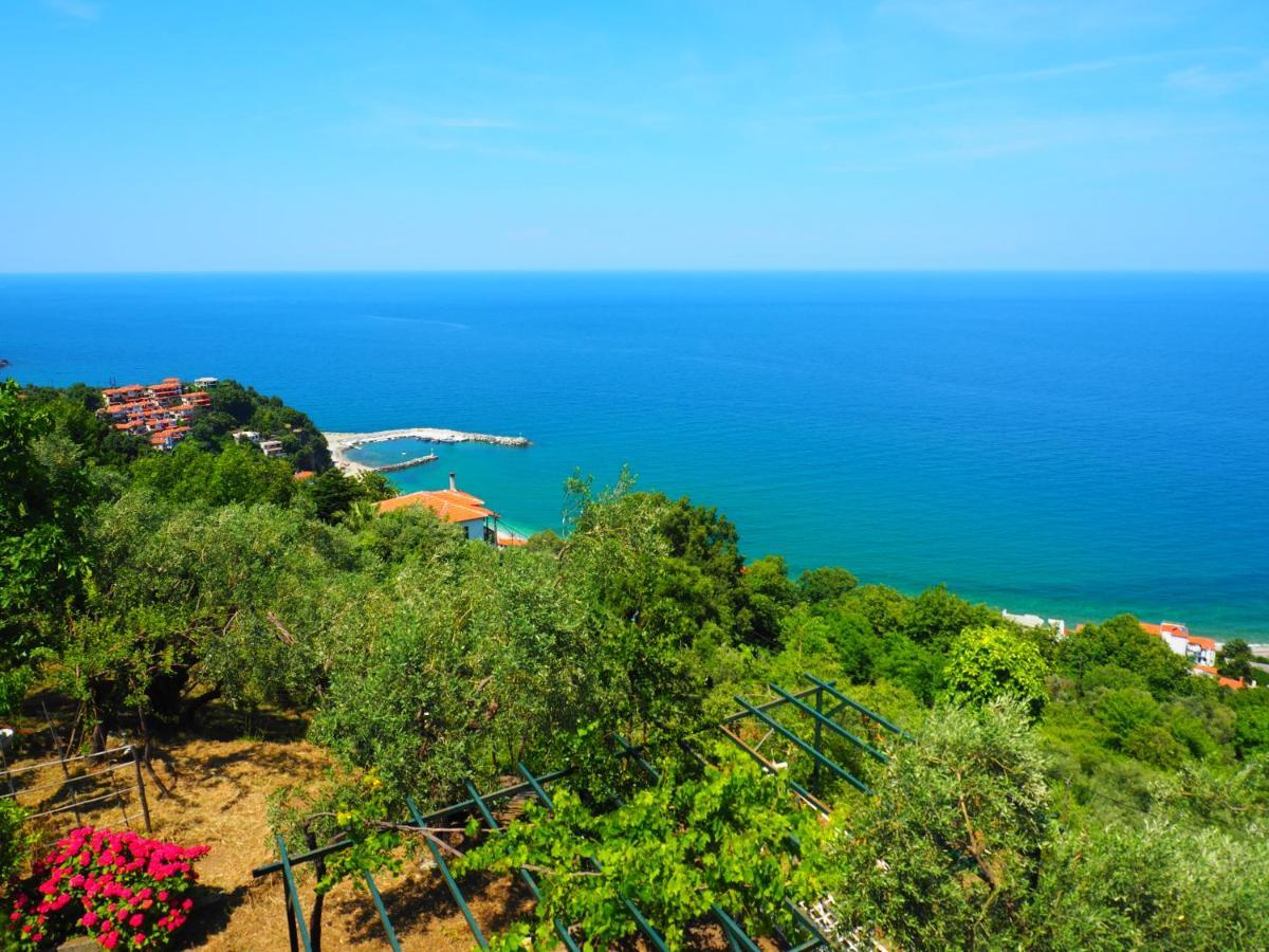 Felitsia Apartments & Studios Agios Ioannis  Kültér fotó