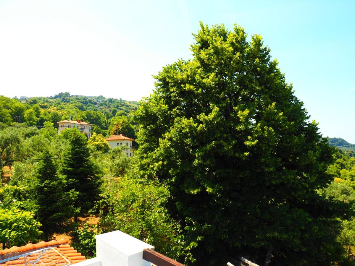 Felitsia Apartments & Studios Agios Ioannis  Kültér fotó