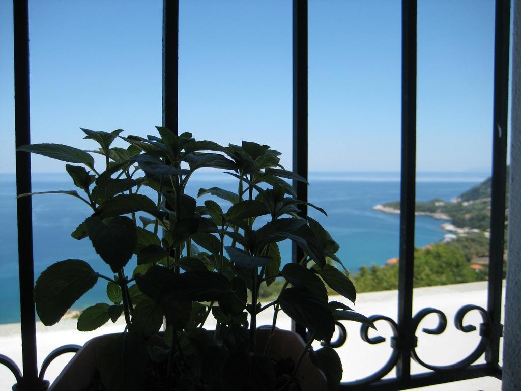 Felitsia Apartments & Studios Agios Ioannis  Kültér fotó